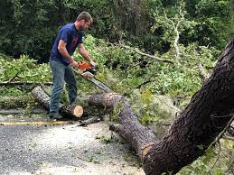 Best Seasonal Cleanup (Spring/Fall)  in St George, KS